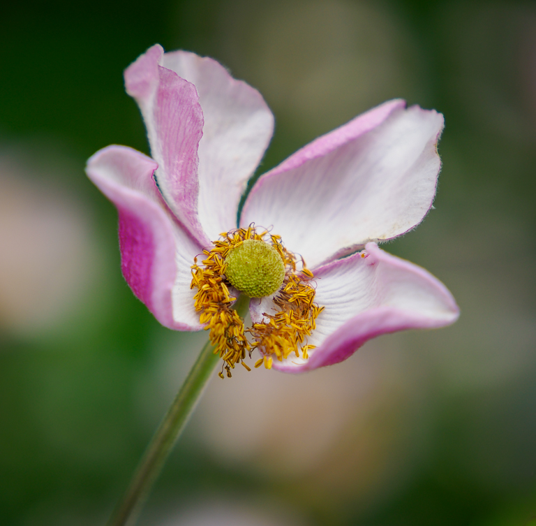 Hanging On by Karen Botvin