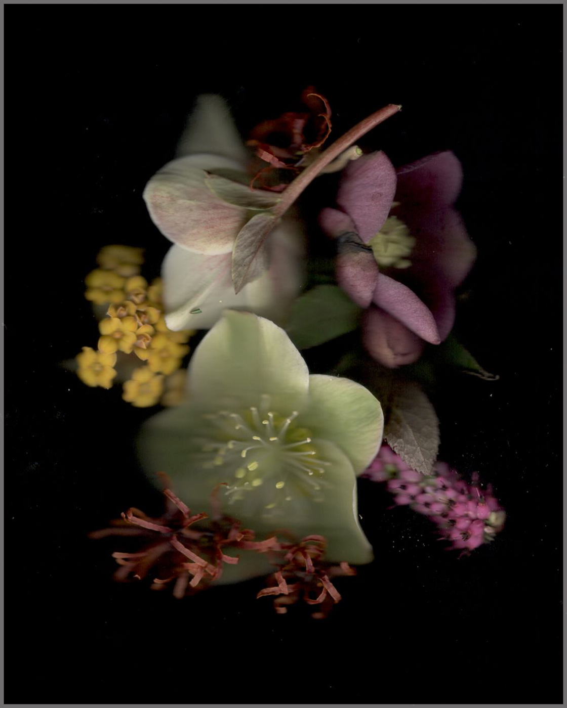 Comment Image