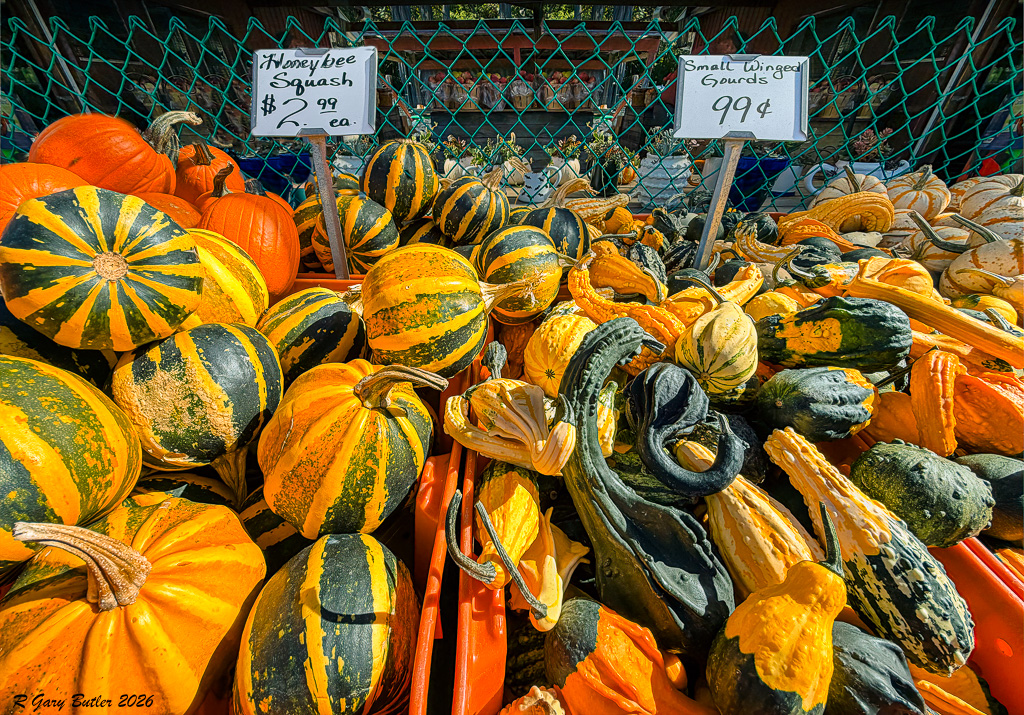 Autumn in Ustate NY by R Gary Butler