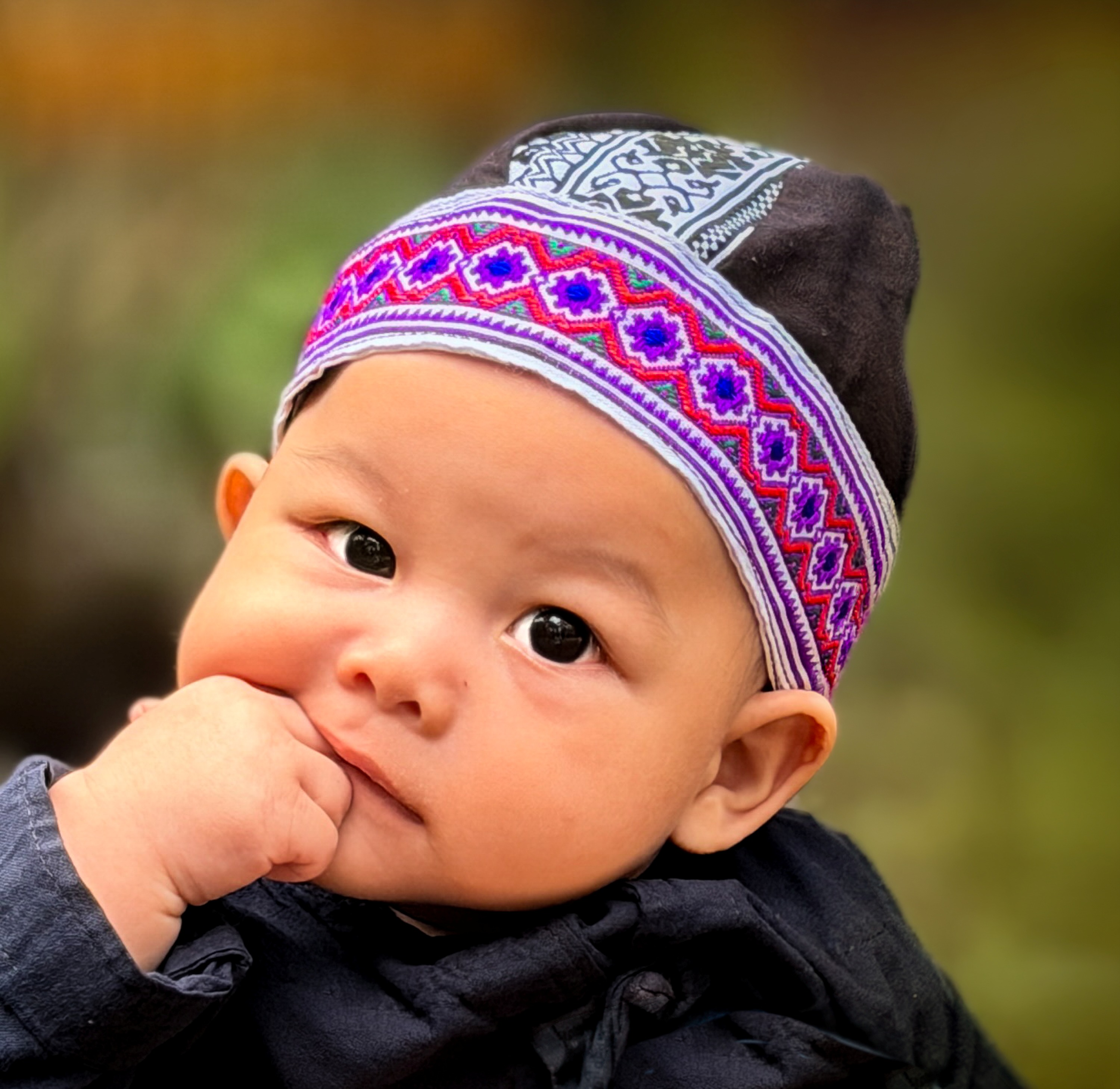 Quiet Curiosity by Sophia Schade