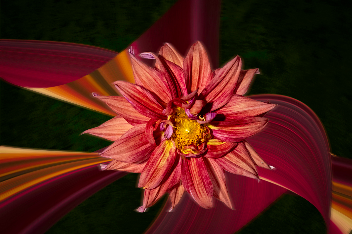 Comment Image