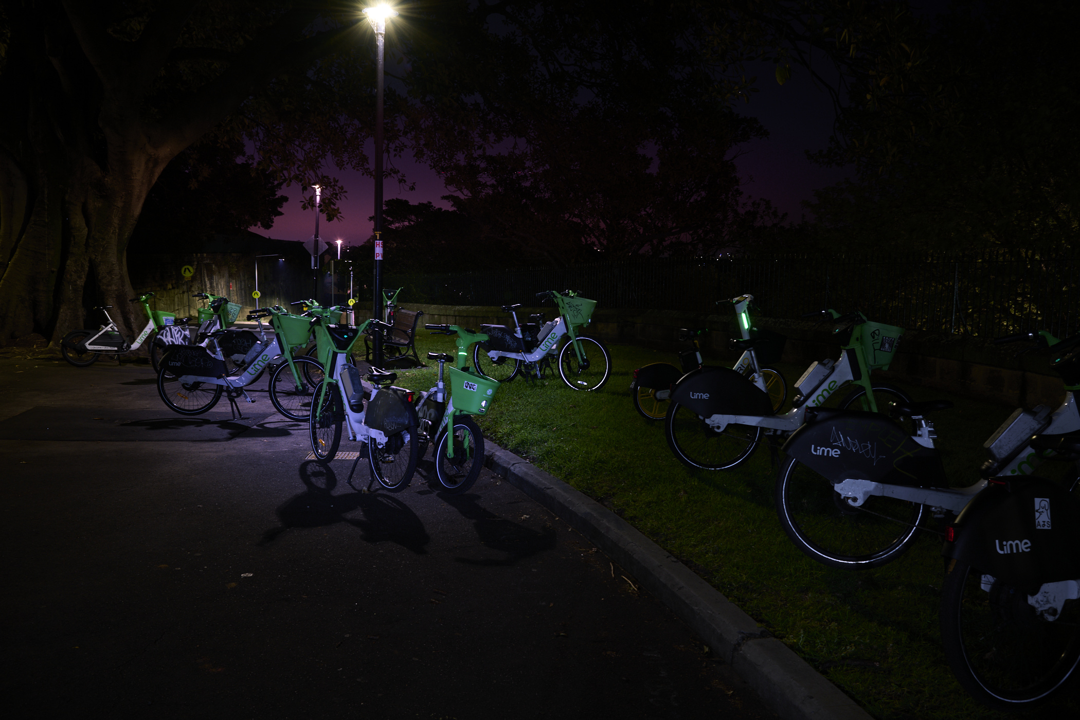 A Herd of E?Bikes by Tom Brassil