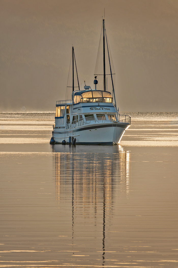 Stillness at Sunrise by Martha Aguero