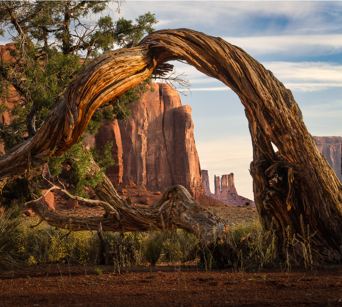 Monument Valley by Sheldon Wecker