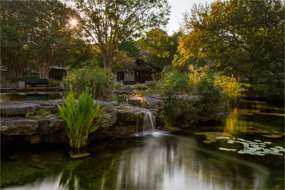 Early Morning Light by Peggy Reeder