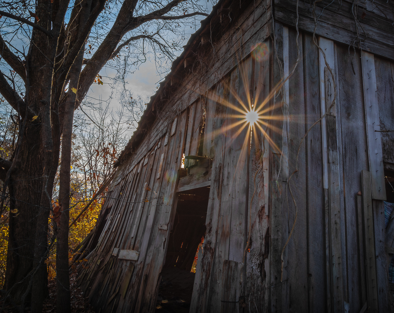 Light Through Decay by Jill Attaway