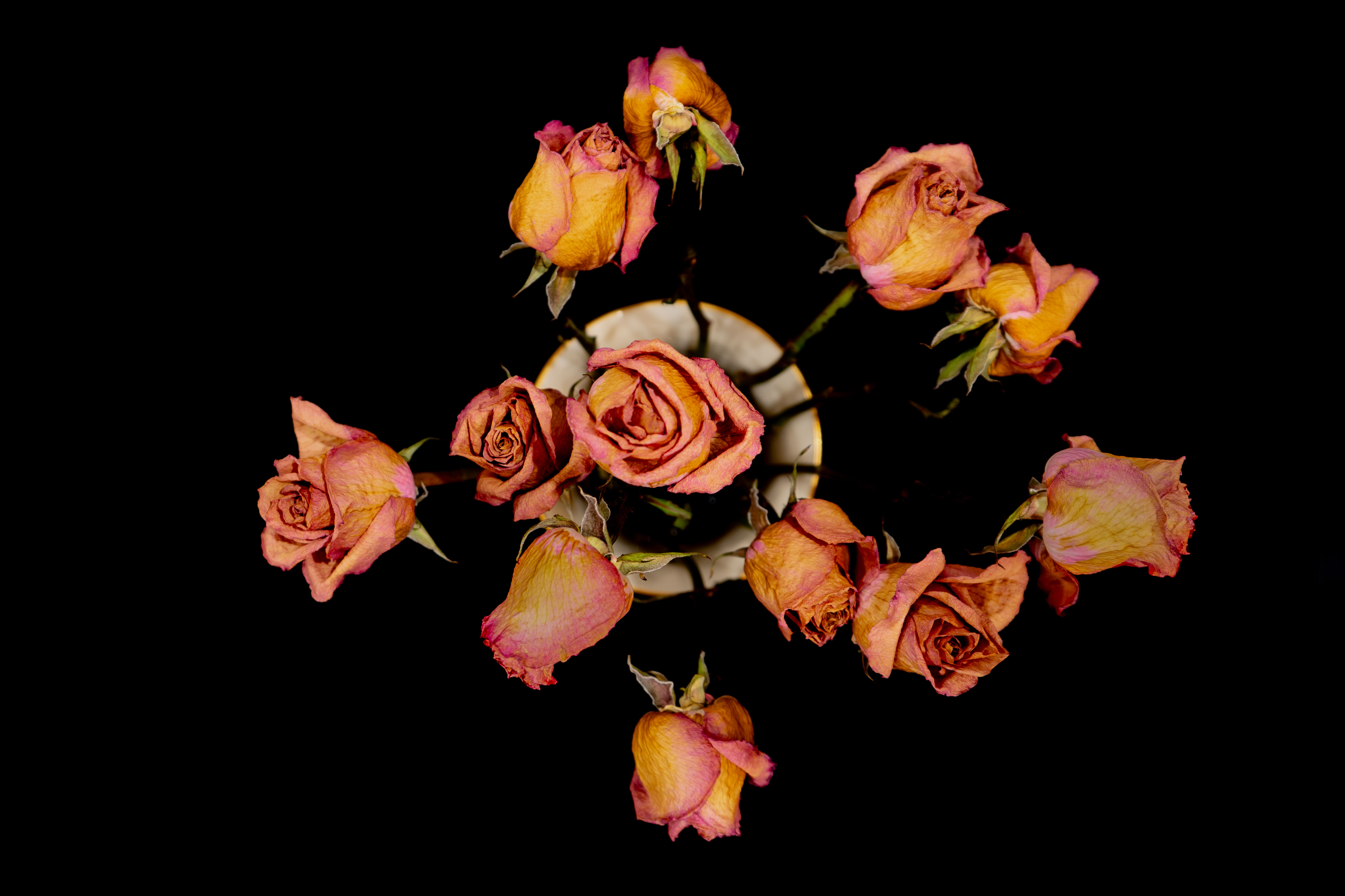 Birthday Flowers by Bollin Millner