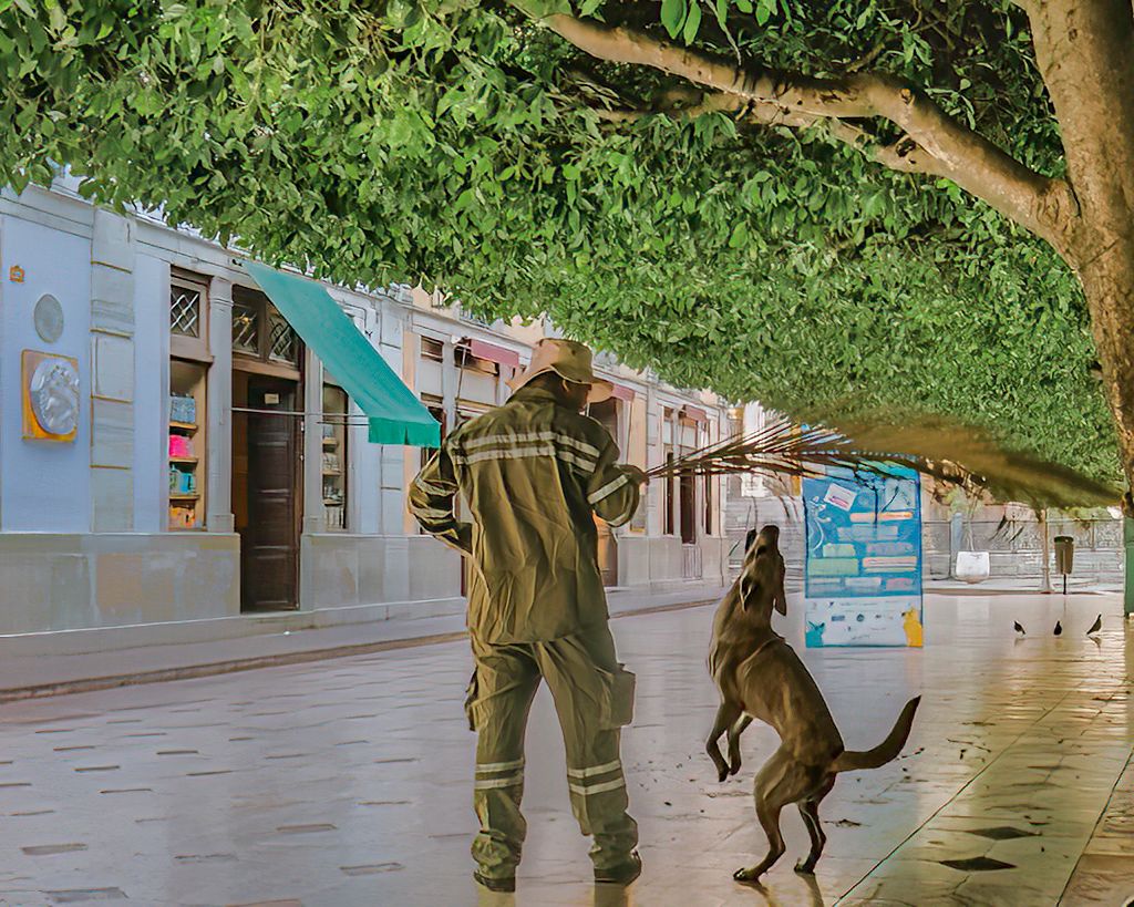 Early Morning in El Jardin by Maryellen Bauer