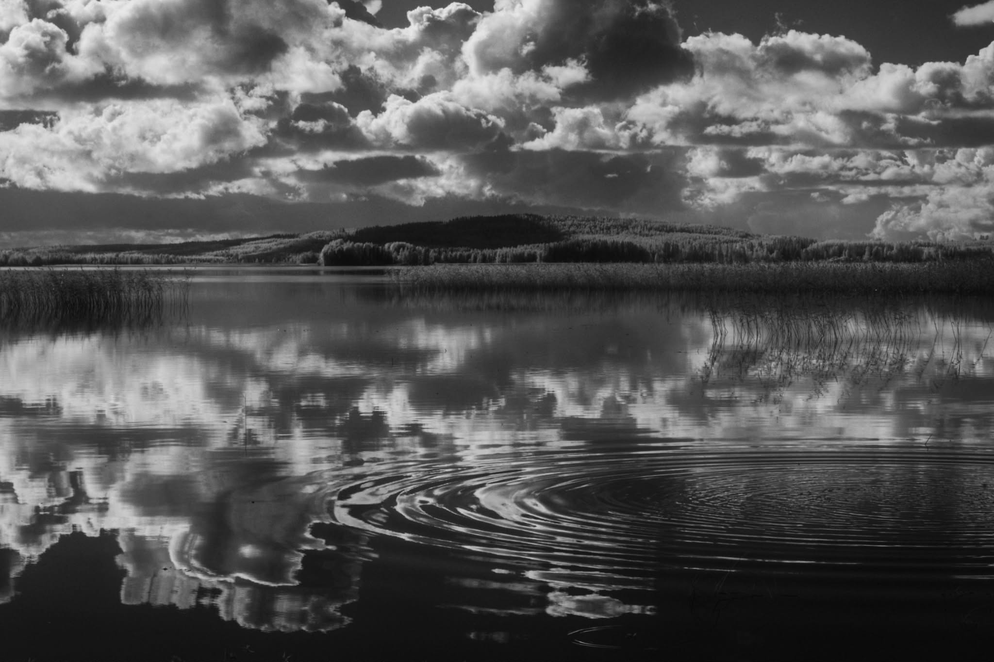  by Tatu Korhonen