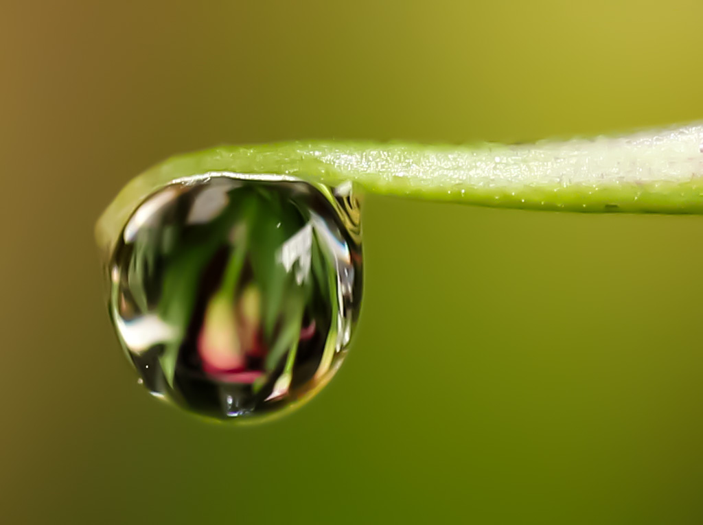 INVERTED VERSION by Jamie Federick