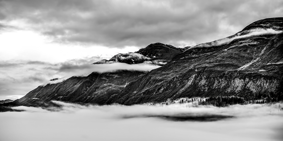 Alaska Morning Fog by Cindy Lynch