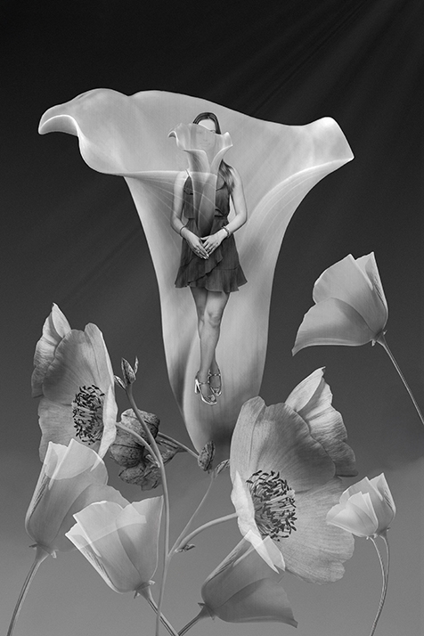 Among the Calla Lillies by Heidi Gruetzemacher