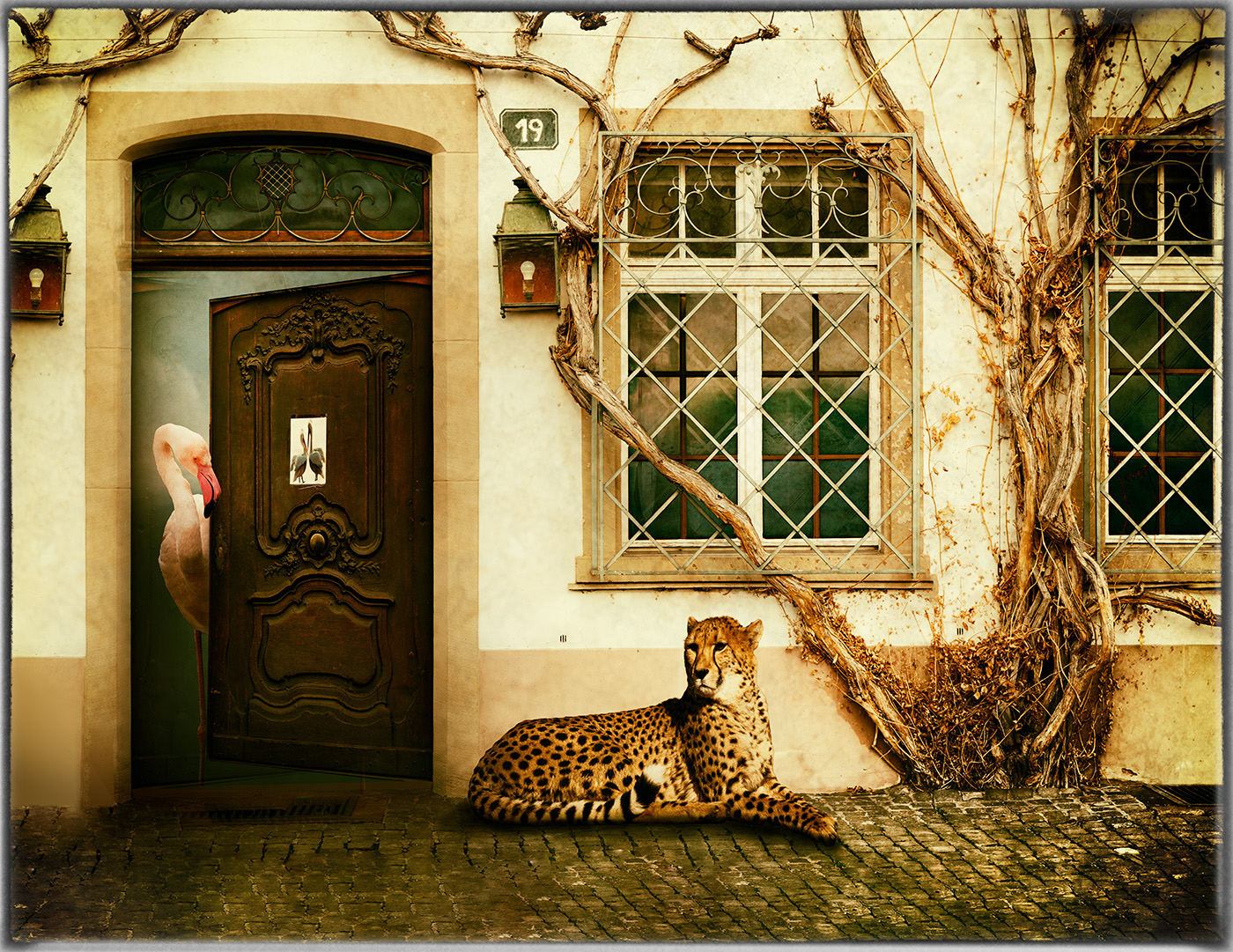 The Sentinel  by Maria Mazo