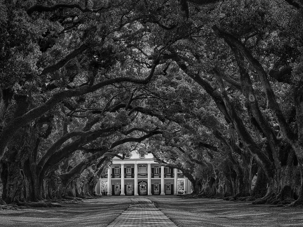 Front Entrance by Carol Heffernan