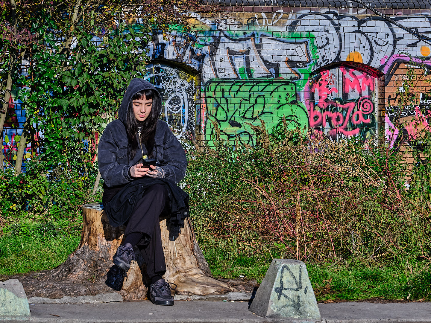 Berlin Murals by Michele Borgarelli