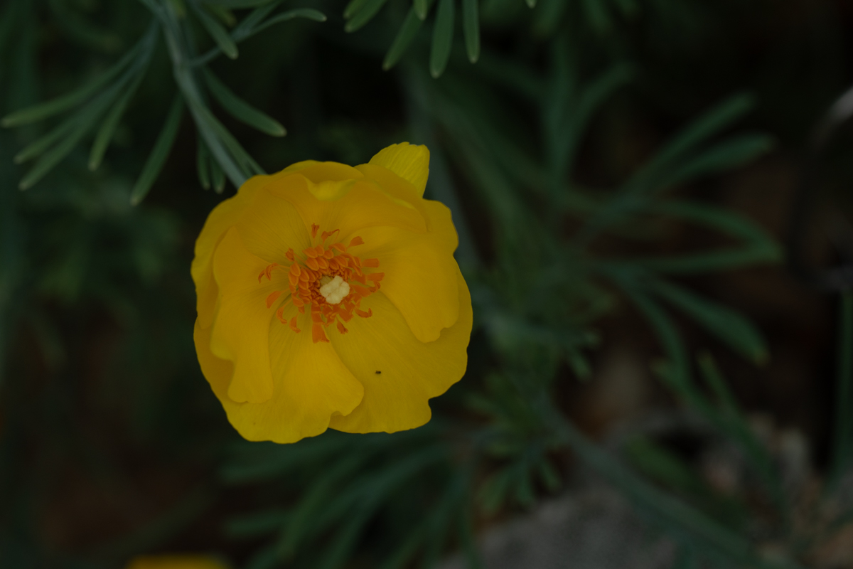 October 2026 - Denise McKay