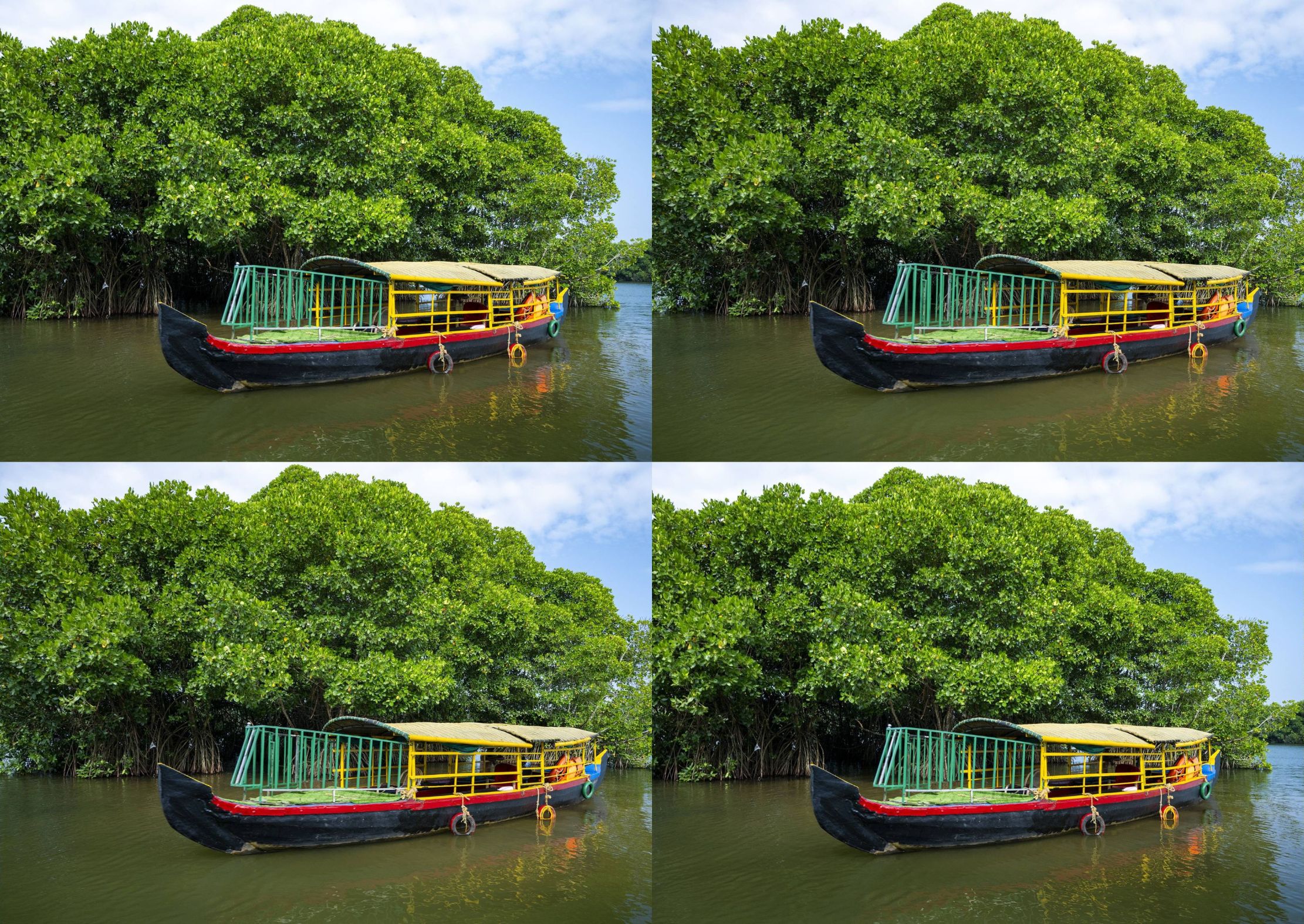 Munroe Mangroves by Satish Hanumantharao
