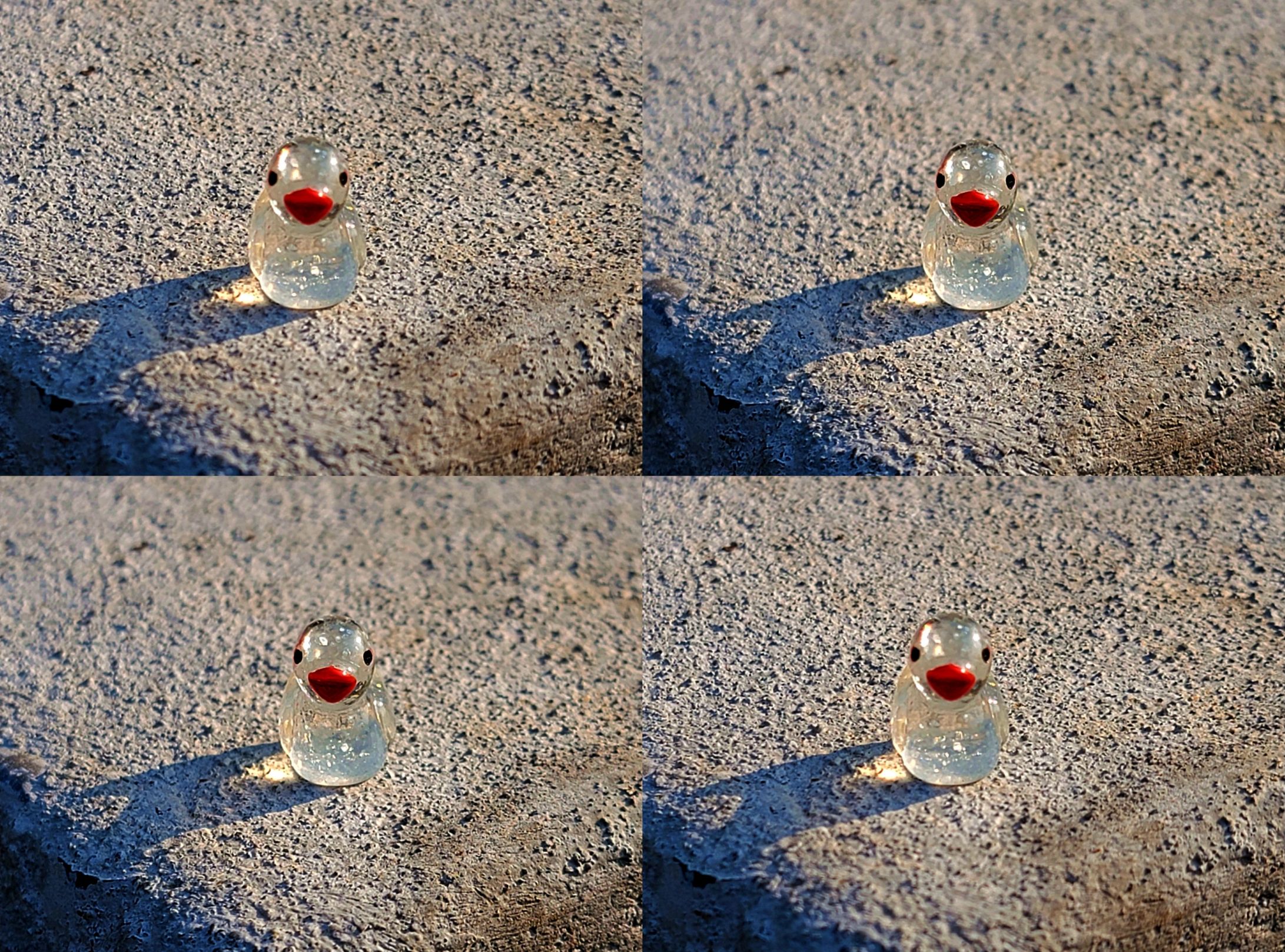 Glass Duck by Dr V G Mohanan Nair