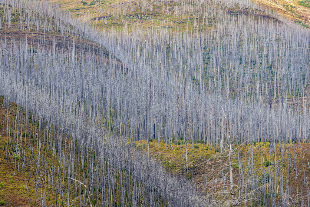 Mountain Landscape by Mike Patterson