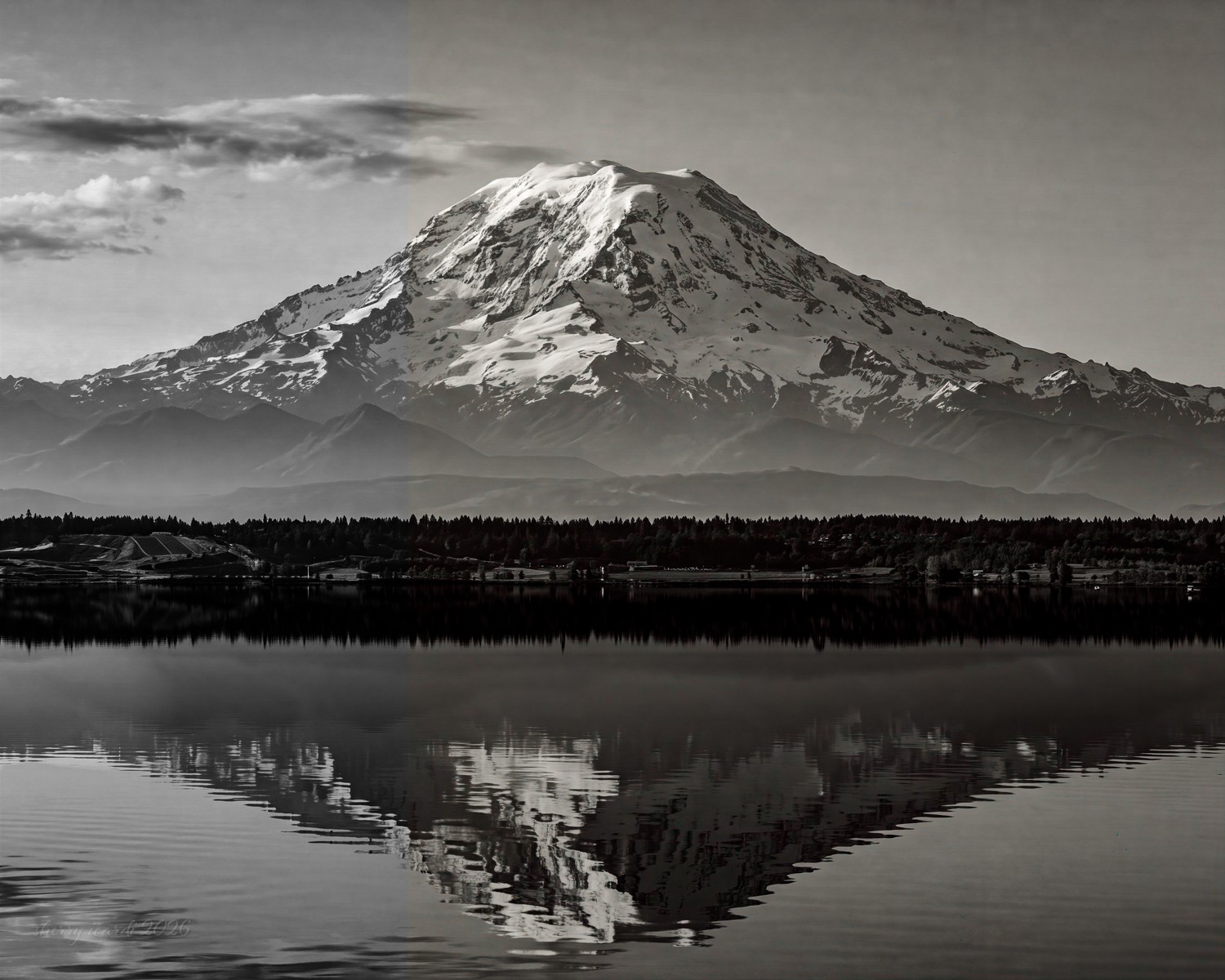 Mount Ranier by Sherry Icardi