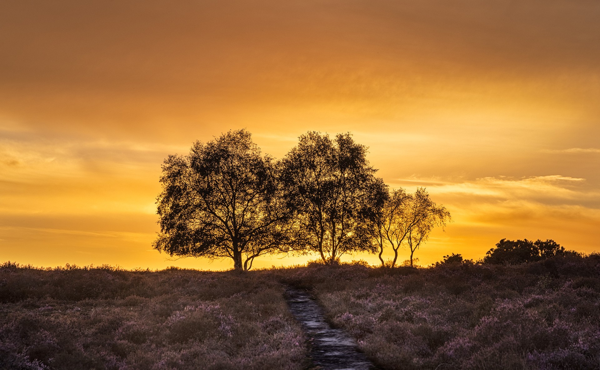 The Burning Heat by Gordon Watson