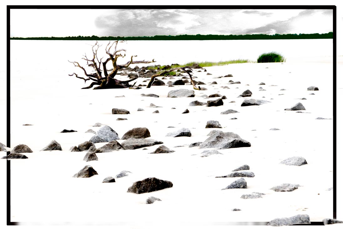 Jekyll Island Beach Stones by Georgianne Giese
