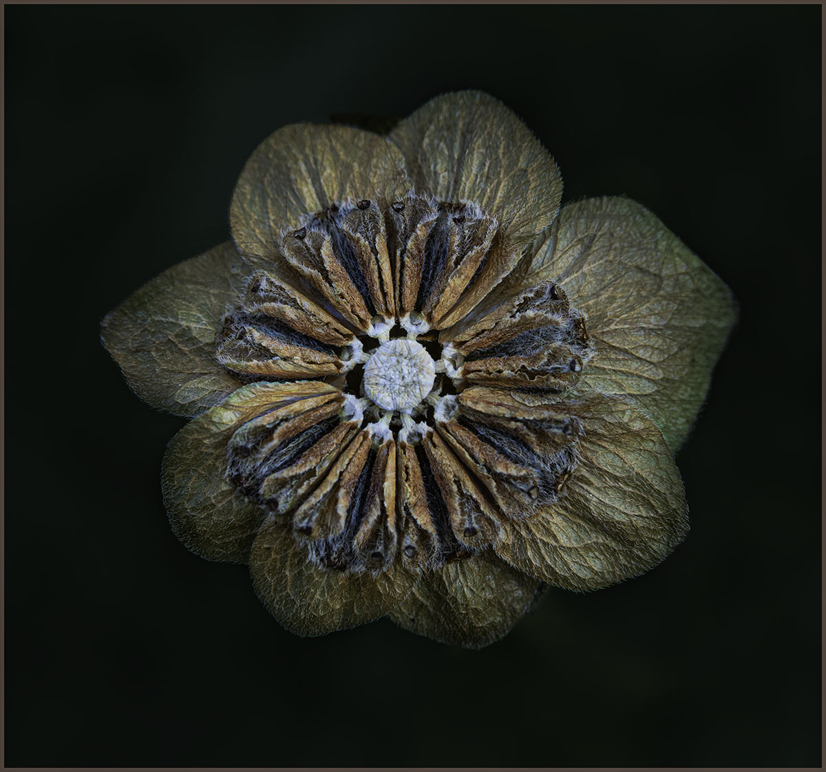 Comment Image
