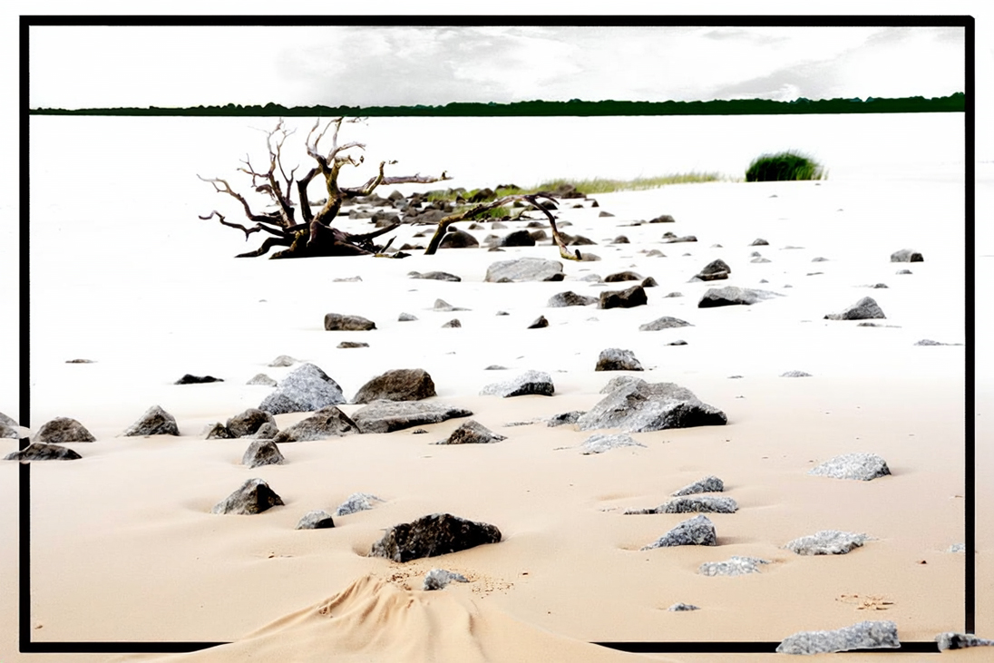 Comment Image
