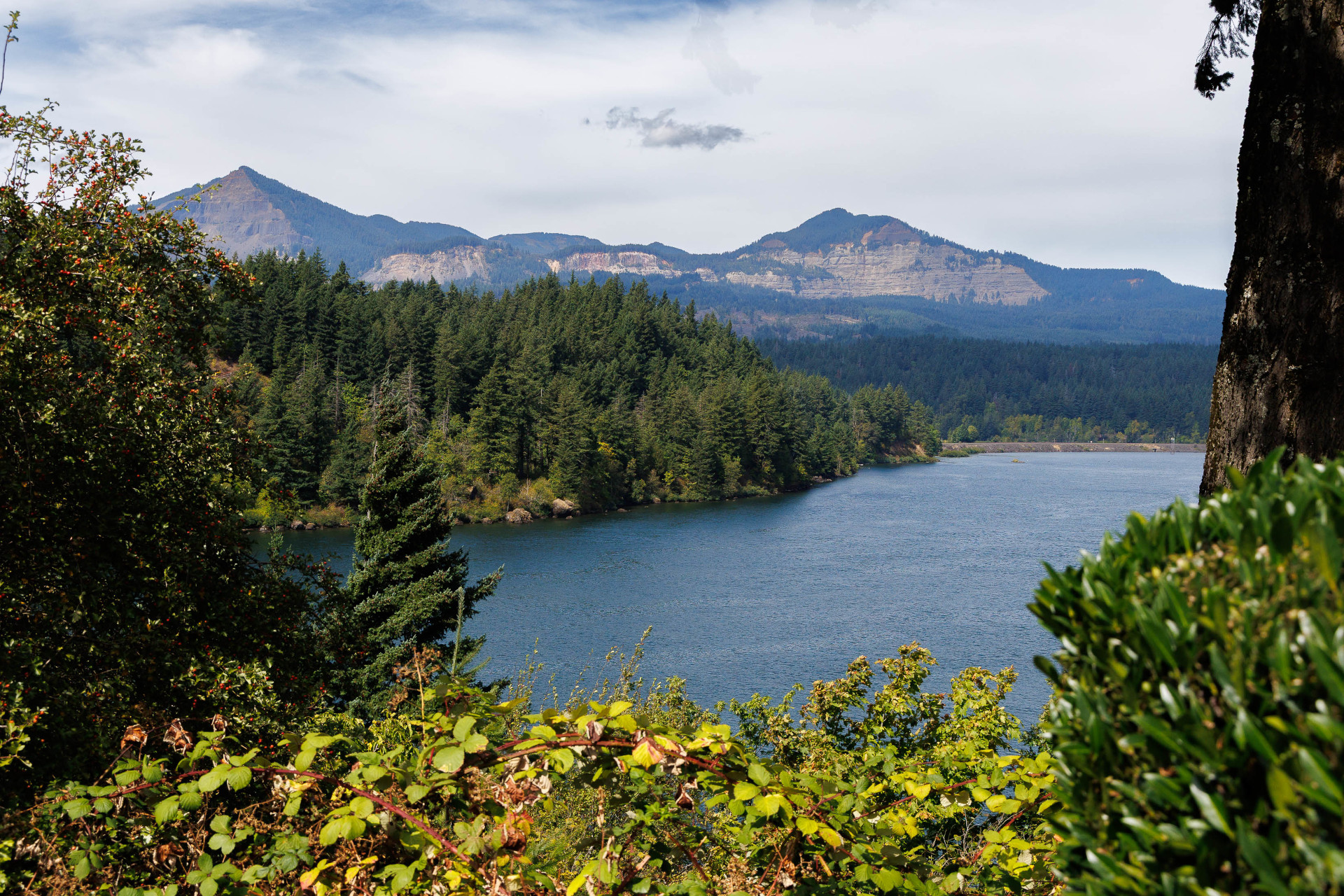 Trip to Oregon by Carol Dunn-Martinez