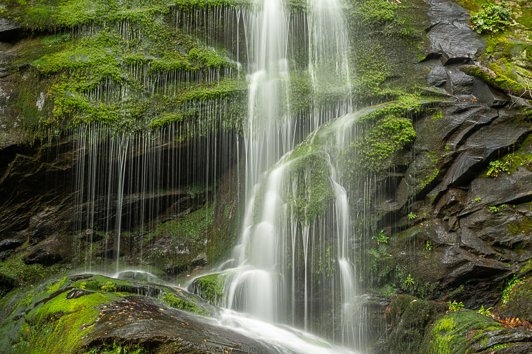 Catawaba Waterfalls by Sarita Yeola