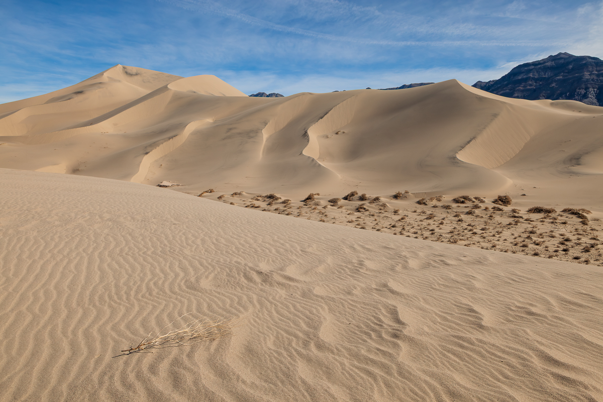 Desert Whispers by Bill Crnkovich
